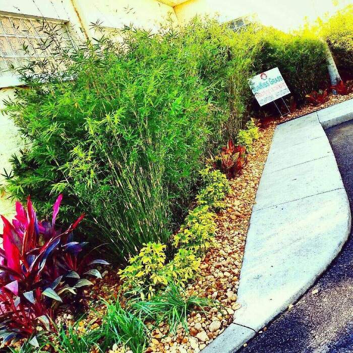 Commercial flower bed maintenance