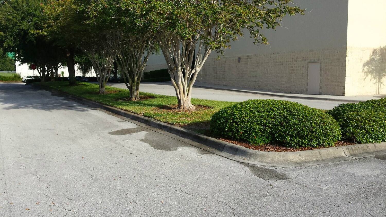 Commercial tree trimming